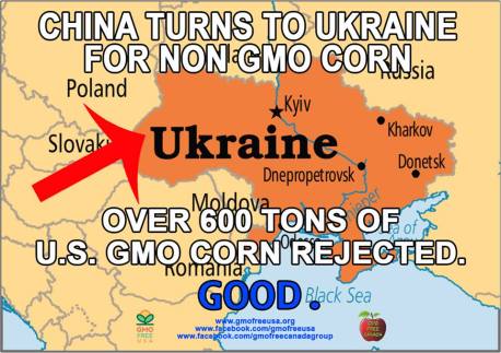 gmo china