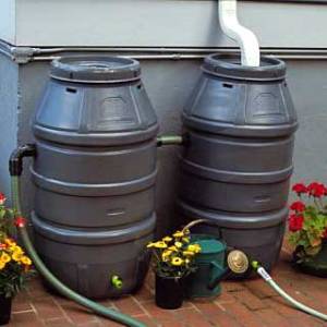 rainbarrel