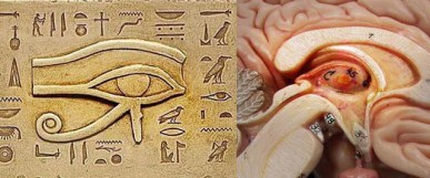 Eye-of-Horus