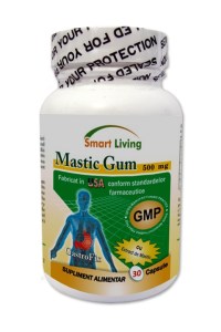 mastic-gum-BIG