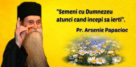 11694141_831861843566153_5846432996091627681_n